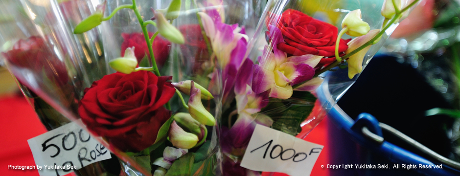 Marché / マルシェ