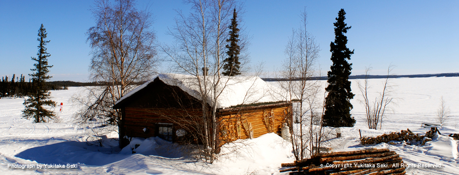 Log house / ログハウス