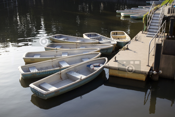 Himonya Park / 碑文谷公園