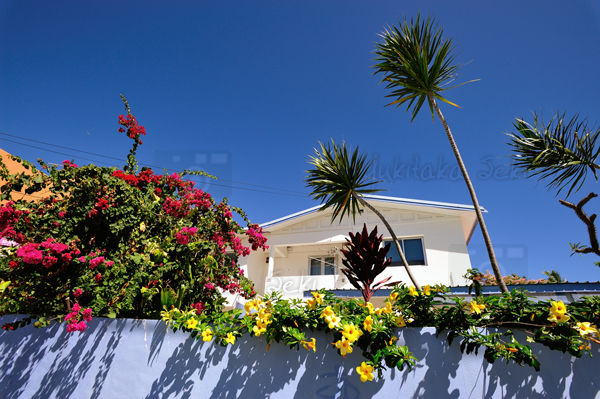 Anse Vata / アンスヴァタ